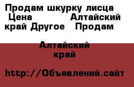 Продам шкурку лисца  › Цена ­ 3 000 - Алтайский край Другое » Продам   . Алтайский край